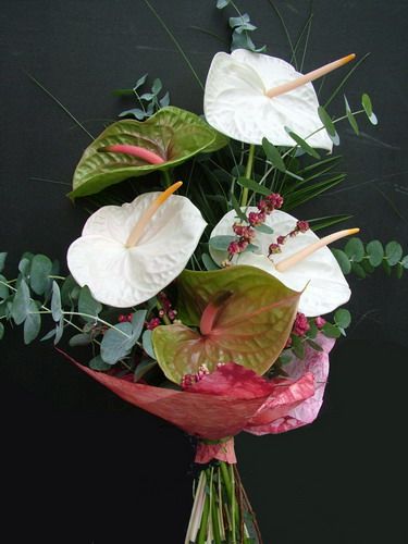 5 stems of anthuriums in a tall arrangement